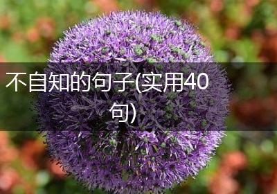 不自知的句子(实用40句)