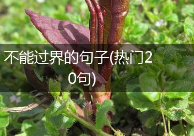 不能过界的句子(热门20句)