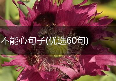 不能心句子(优选60句)