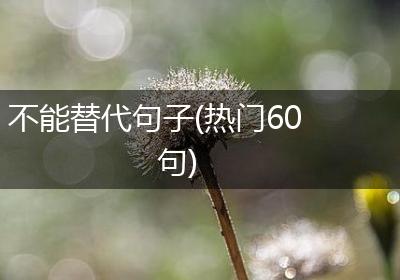 不能替代句子(热门60句)