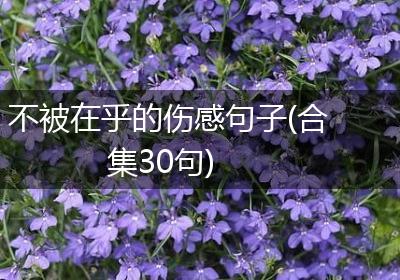 不被在乎的伤感句子(合集30句)