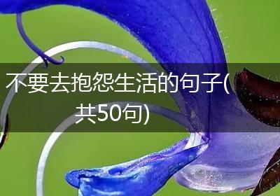 不要去抱怨生活的句子(共50句)
