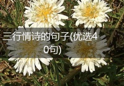 三行情诗的句子(优选40句)
