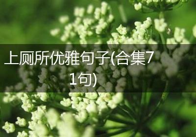 上厕所优雅句子(合集71句)