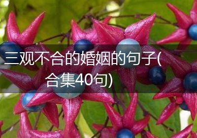 三观不合的婚姻的句子(合集40句)