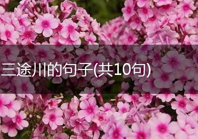 三途川的句子(共10句)