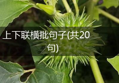 上下联横批句子(共20句)