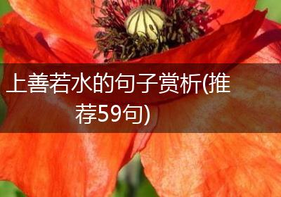 上善若水的句子赏析(推荐59句)