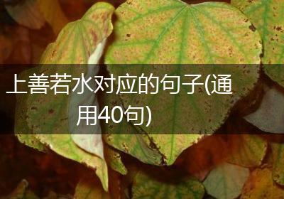 上善若水对应的句子(通用40句)