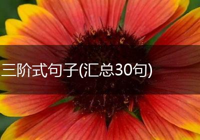 三阶式句子(汇总30句)