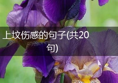 上坟伤感的句子(共20句)