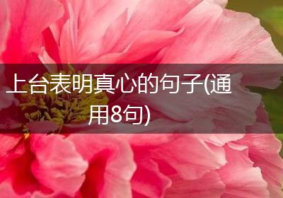 上台表明真心的句子(通用8句)