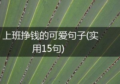 上班挣钱的可爱句子(实用15句)