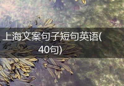 上海文案句子短句英语(40句)