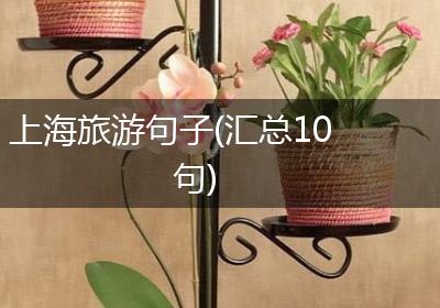 上海旅游句子(汇总10句)