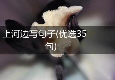 上河边写句子(优选35句)