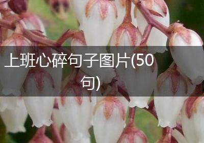 上班心碎句子图片(50句)