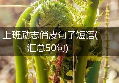 上班励志俏皮句子短语(汇总50句)
