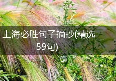 上海必胜句子摘抄(精选59句)