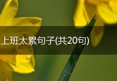 上班太累句子(共20句)