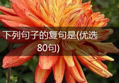 下列句子的复句是(优选80句)