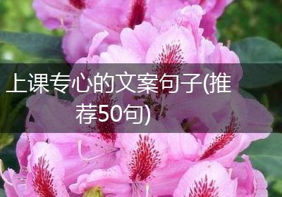 上课专心的文案句子(推荐50句)