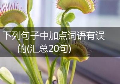 下列句子中加点词语有误的(汇总20句)