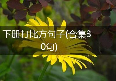 下册打比方句子(合集30句)