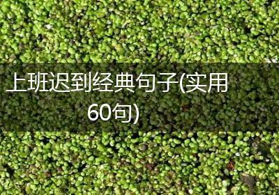 上班迟到经典句子(实用60句)