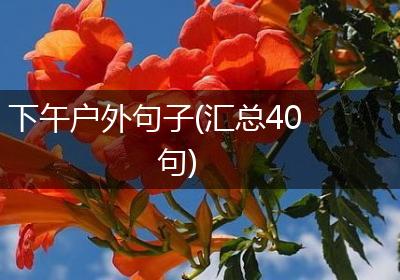 下午户外句子(汇总40句)