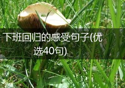 下班回归的感受句子(优选40句)