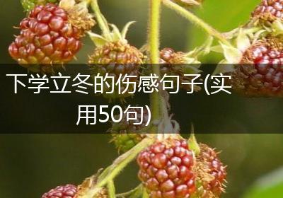 下学立冬的伤感句子(实用50句)