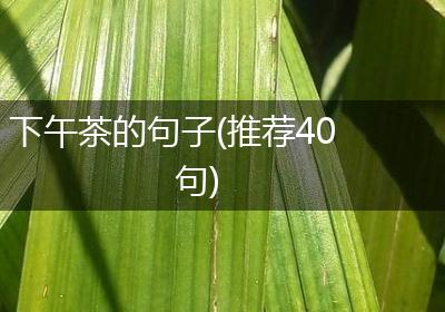 下午茶的句子(推荐40句)