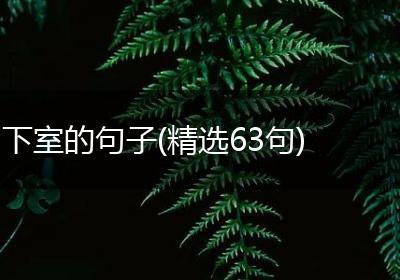 下室的句子(精选63句)