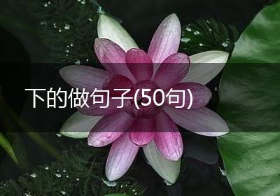 下的做句子(50句)