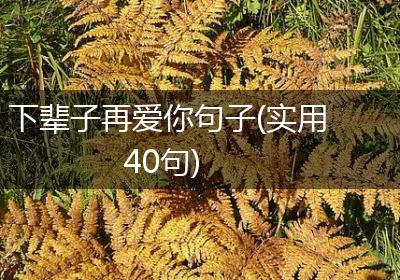 下辈子再爱你句子(实用40句)