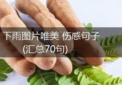 下雨图片唯美 伤感句子(汇总70句)