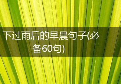 下过雨后的早晨句子(必备60句)