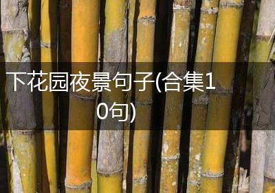下花园夜景句子(合集10句)