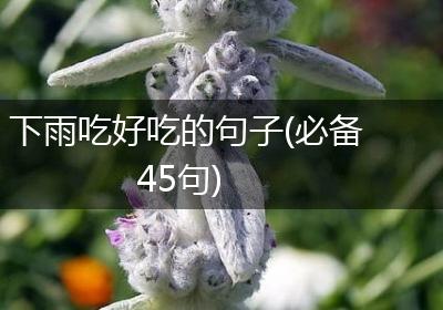 下雨吃好吃的句子(必备45句)