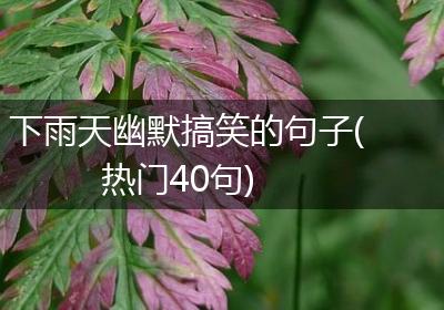 下雨天幽默搞笑的句子(热门40句)