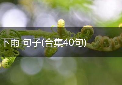 下雨 句子(合集40句)