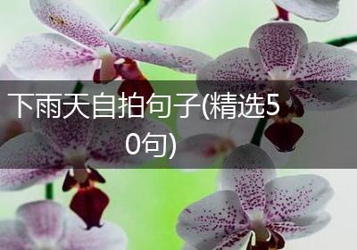 下雨天自拍句子(精选50句)