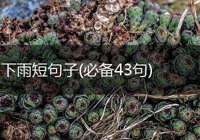 下雨短句子(必备43句)