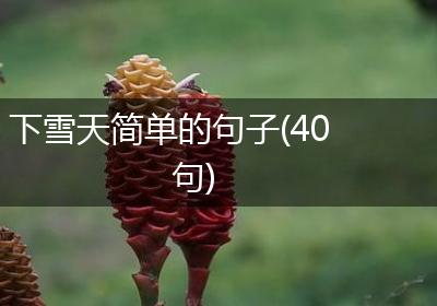 下雪天简单的句子(40句)
