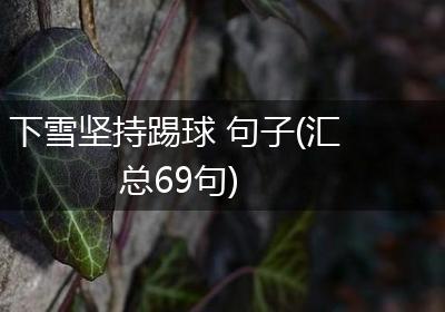 下雪坚持踢球 句子(汇总69句)