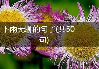 下雨无聊的句子(共50句)