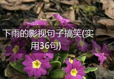 下雨的影视句子搞笑(实用36句)