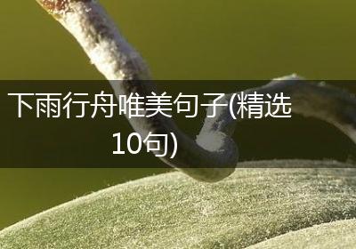 下雨行舟唯美句子(精选10句)