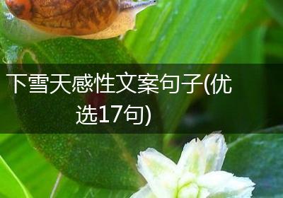 下雪天感性文案句子(优选17句)